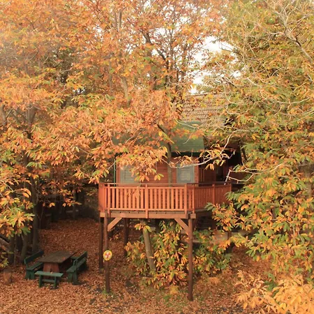 Matilde's Etna Nature House