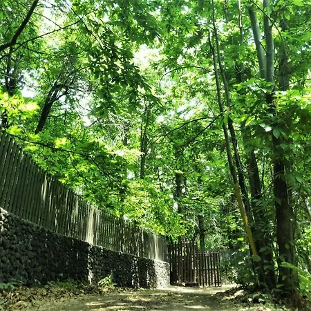 Matilde's Etna Nature House * Николози