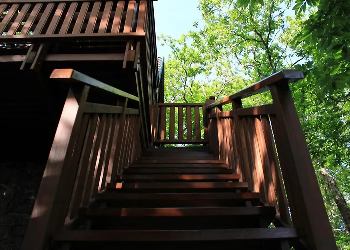 Matilde's Etna Nature House *