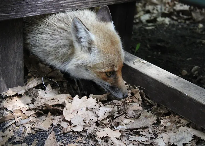 Matilde's Etna Nature House