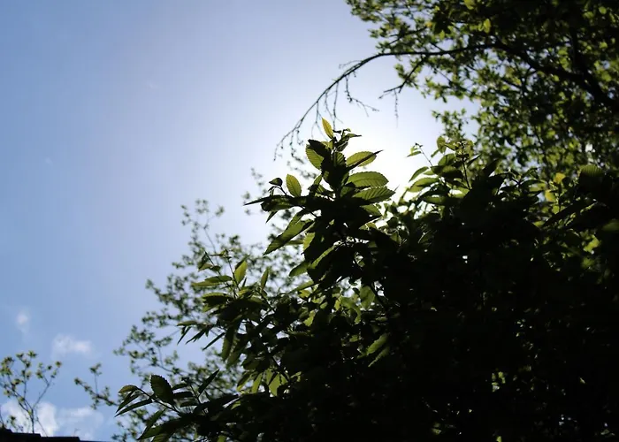 Matilde's Etna Nature House Σαλέ