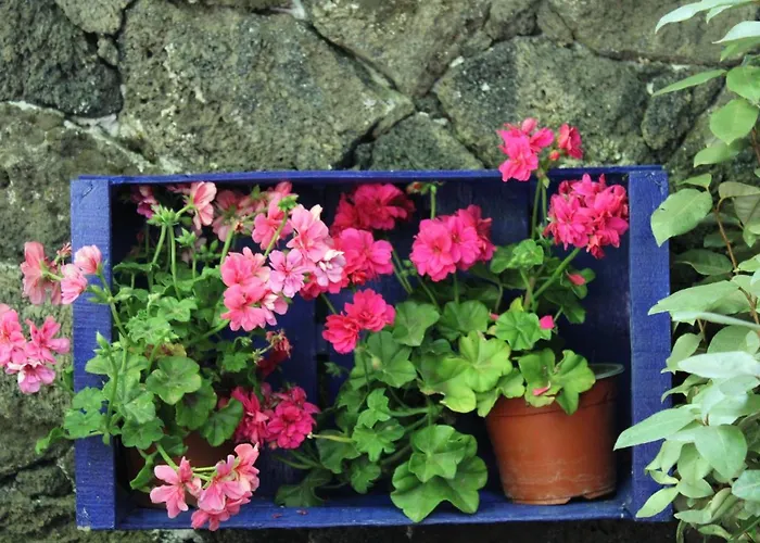 Σαλέ Matilde's Etna Nature House *
