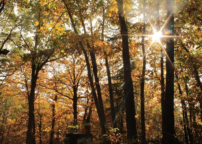 Matilde's Etna Nature House * Nicolosi