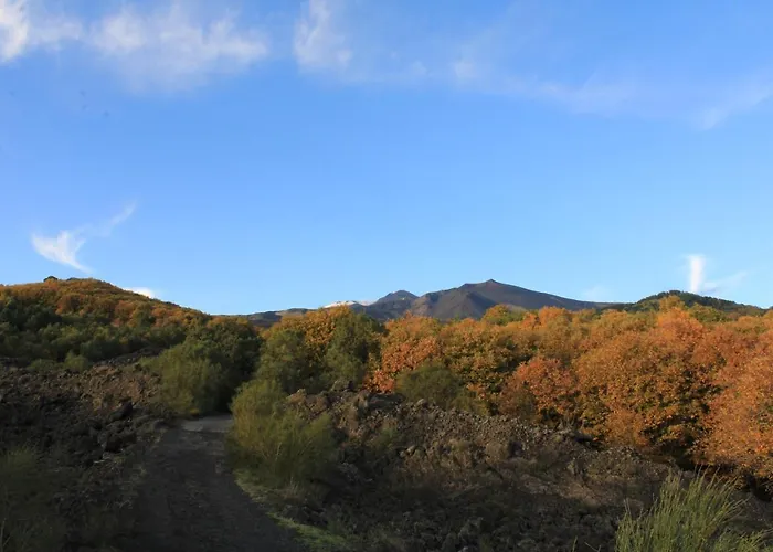 Matilde's Etna Nature House