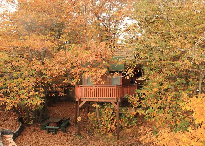 Matilde's Etna Nature House